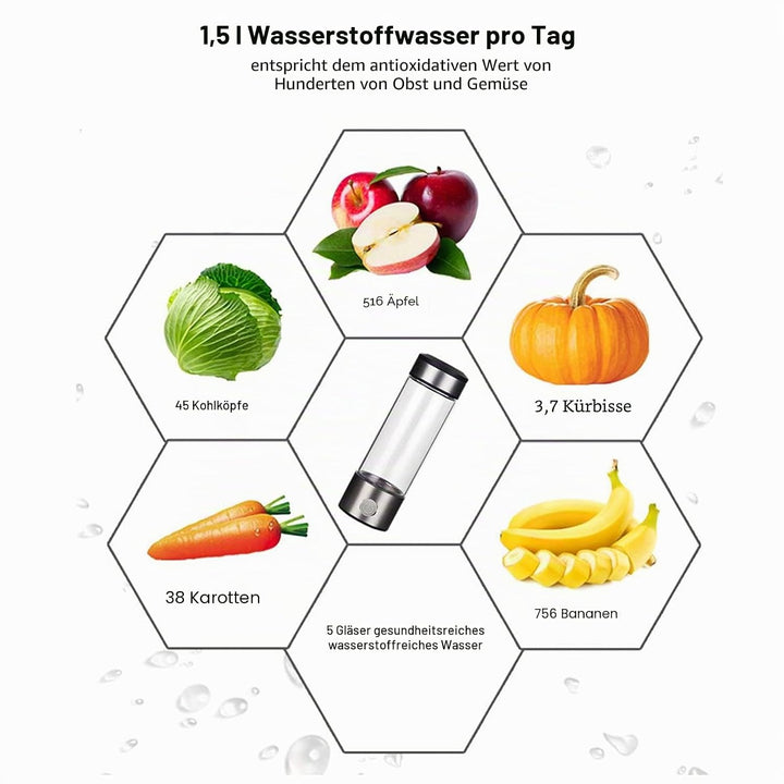 Wasserstoff Generator 450 ML Wasserstoff Wasser Lonisator mit PEM- und SPE-Technologie USB, Wasserst