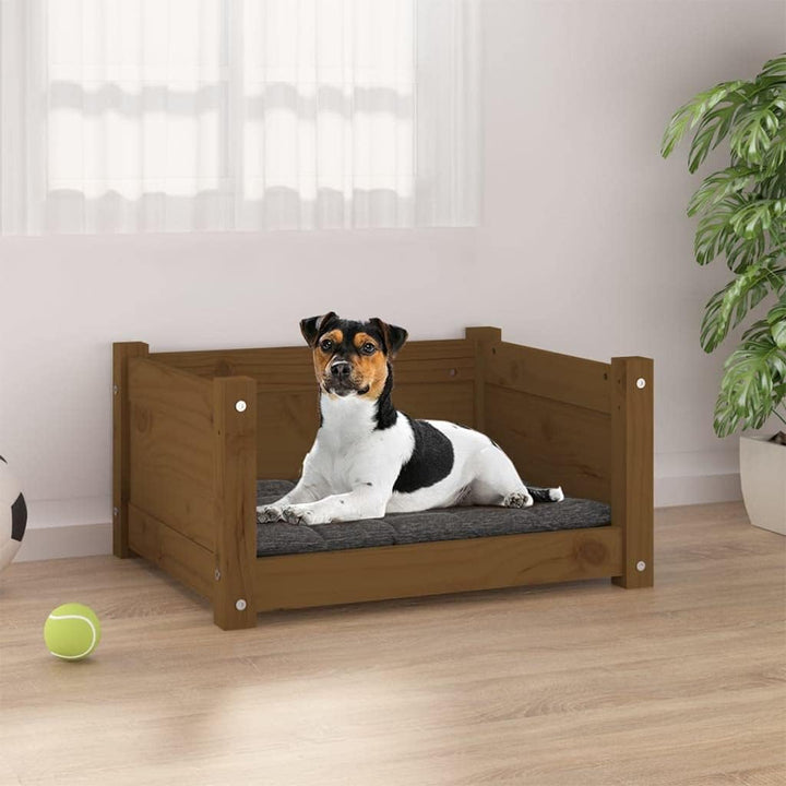 homiuse Hundebett Katzenbett Honigbraun 55,5x45,5x28 cm Massivholz Kiefer Hundekorb Katzenkorb Hunde