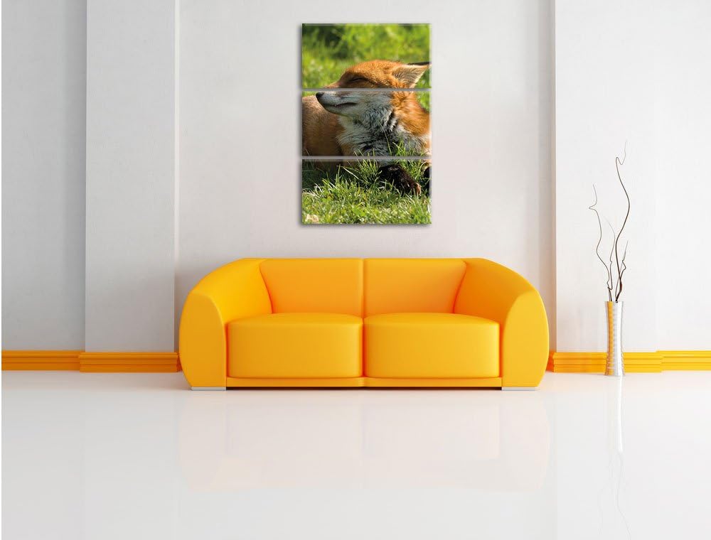 Pixxprint Fuchs im Gras 3-Teiler Leinwandbild 120x80 Bild auf Leinwand
