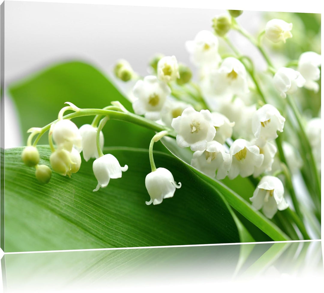 Pixxprint Maiglöckchen Ostern als Leinwandbild/Grösse: 120x80 cm/Wandbild/Kunstdruck/fertig bespannt