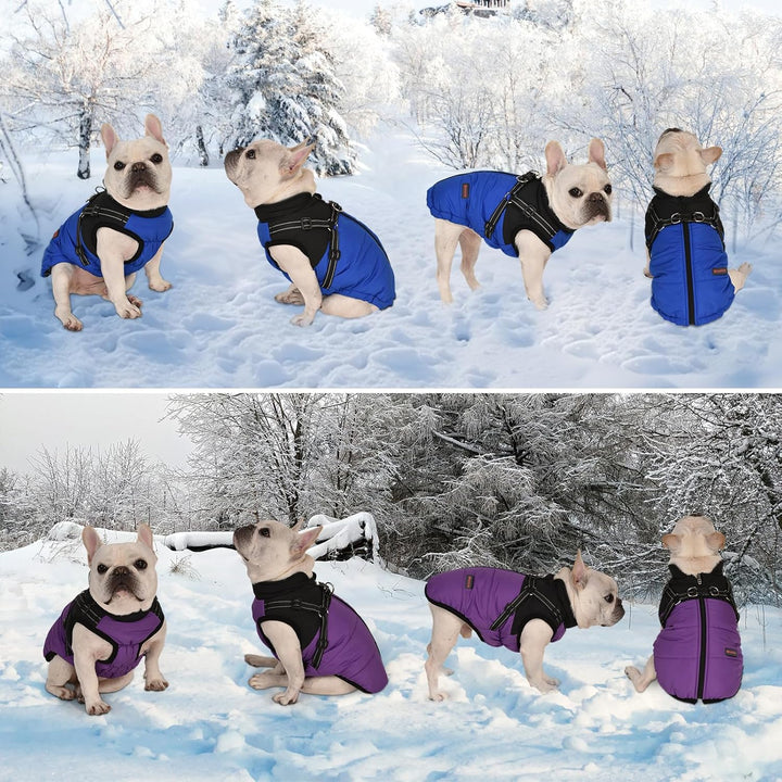 Hundemantel Hundejacke Winter Wasserdichter Hundemantel Kleiner Hundemantel Welpen Harness Hundemant