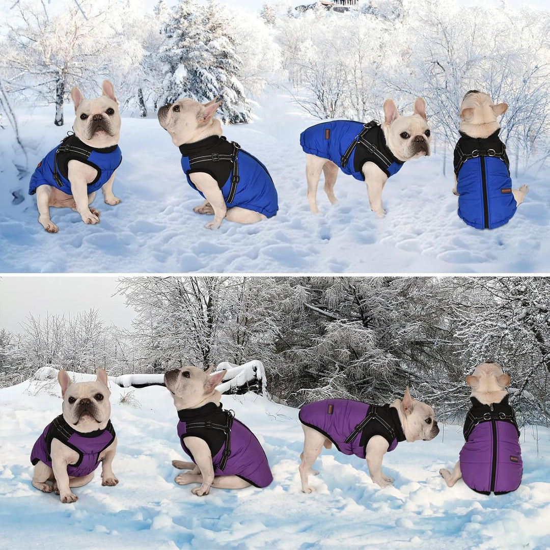 Hundemantel Hundejacke Winter Wasserdichter Hundemantel Kleiner Hundemantel Welpen Harness Hundemant