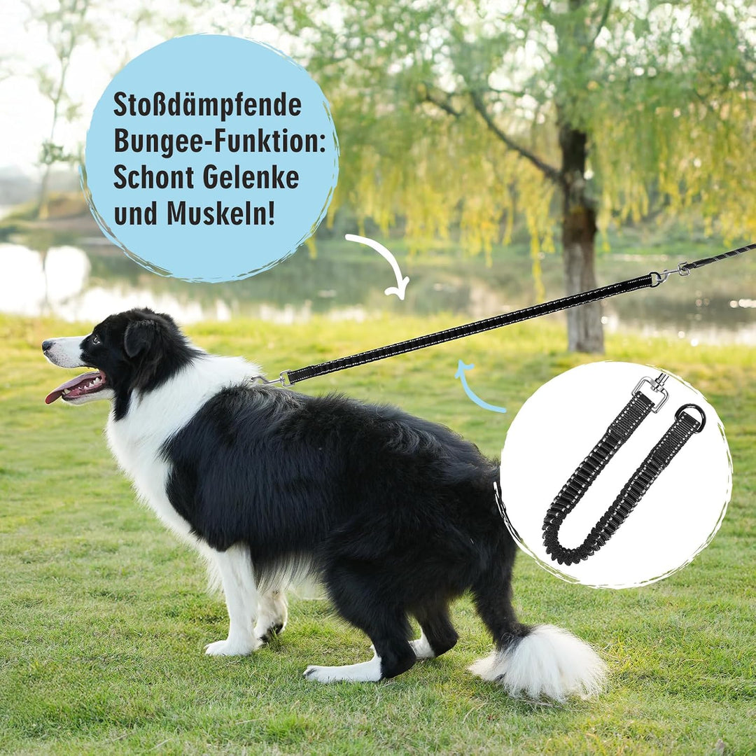 Aystkniet Schleppleine 30M für Hunde, Hundeleine mit Abnehmbare Elastische Kordel | Abschliessbarer