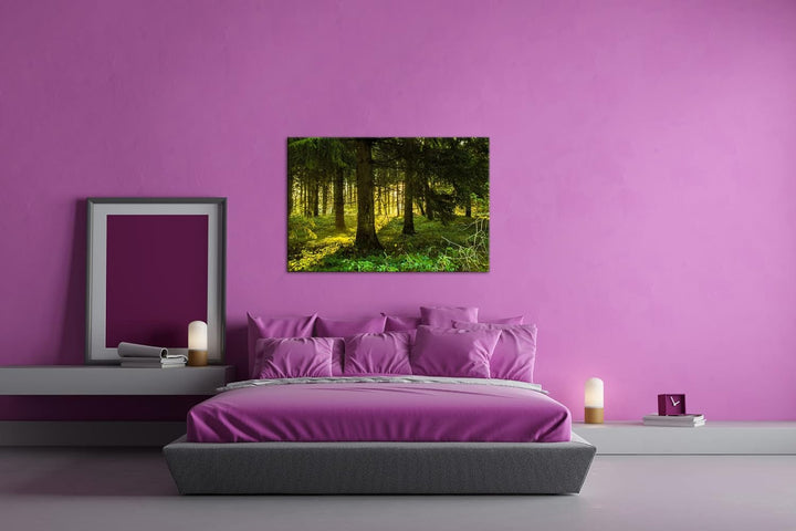 deyoli atemberaubende Waldlichtung Format: 80x60 als Leinwandbild, Motiv fertig gerahmt auf Echtholz