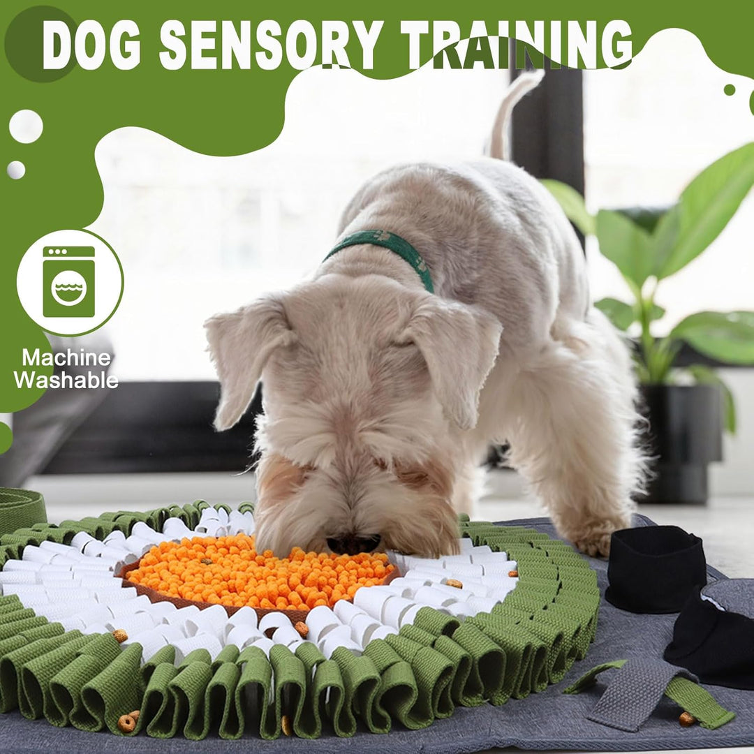 Hund Schnüffelteppich, Schnüffelteppich für Hunde Waschbar Schnüffelmatte Trainingsmatte Riechen Tra
