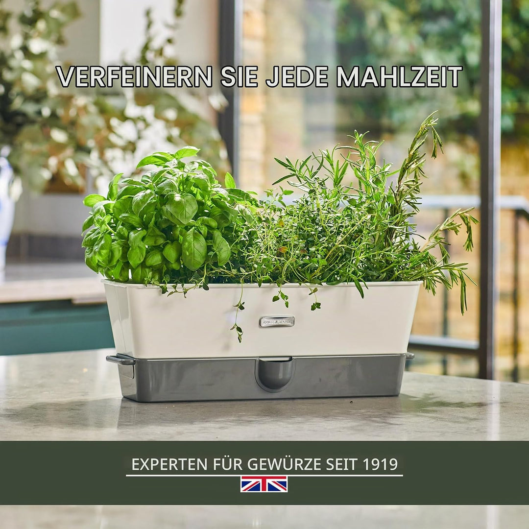 Cole &amp; Mason H105349 Burwell 3-Fach Kräutertopf Selbstbewässernd, Kräutertopf Balkon/Kräutergarten f