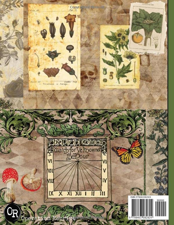 Green Witch Junk Journal Pages & Ephemera: Kit Includes 26 Papers For Scrapbooking And Collage, Tasc