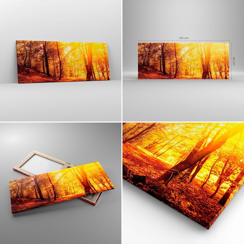 Panorama Bilder auf Leinwand 100x40cm Leinwandbild mit Rahmen Wald Baum Natur Gross Wanddeko Bild Sc