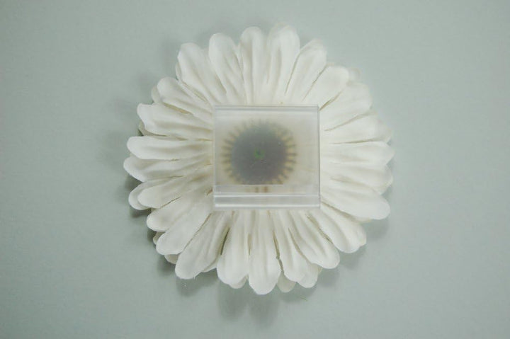 Fibula [Style]® Komplettpaket "Faith" violet Grösse S Komplette Tischdekoration für ca 8 - 10 Person