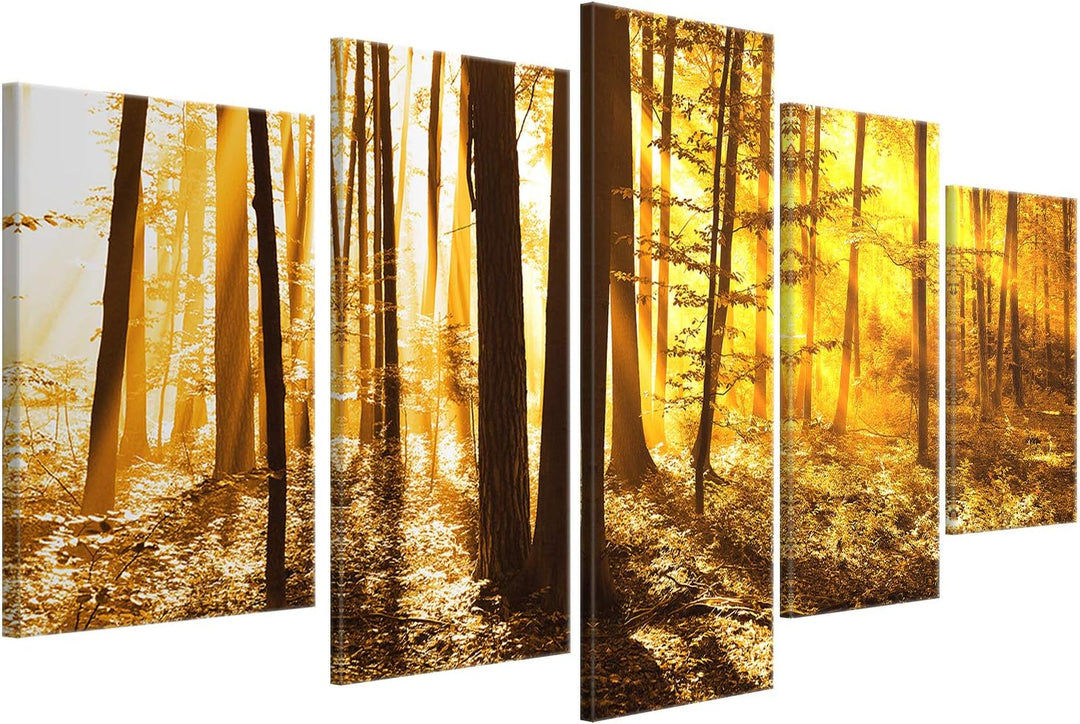 ge Bildet Bild auf Leinwand | Landschaftsbilder - beautiful morning in the forest G in 100x50 cm meh