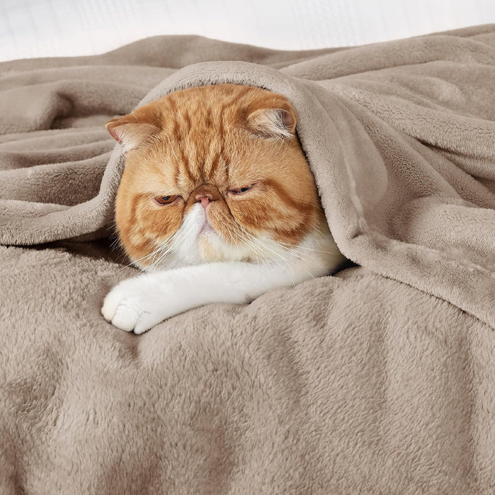 BEDSURE Kuscheldecke Flauschig Decke Fleecedecke - Wohndecke Warm Winter Weich, Sofadecke XXL, Decke