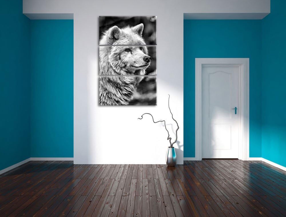Pixxprint prächtiger Polarwolf als Leinwandbild/Grösse: 3 Teilig (120x80) cm/Wandbild/Kunstdruck/fer