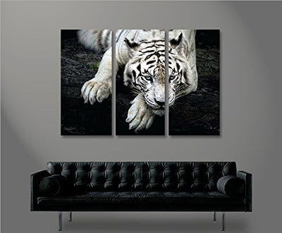 islandburner Bild Bilder auf Leinwand Bengalischer Tiger V2 3p XXL Poster Leinwandbild Wandbild Deko