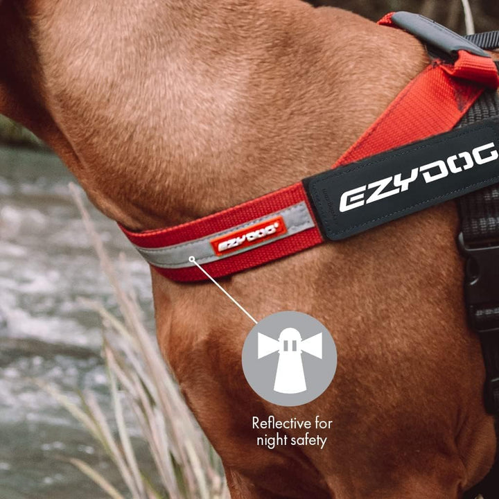 EzyDog Express Hundegeschirr - Norwegergeschirr für Kleine, Mittelgrosse und Grosse Hunde, Reflektie