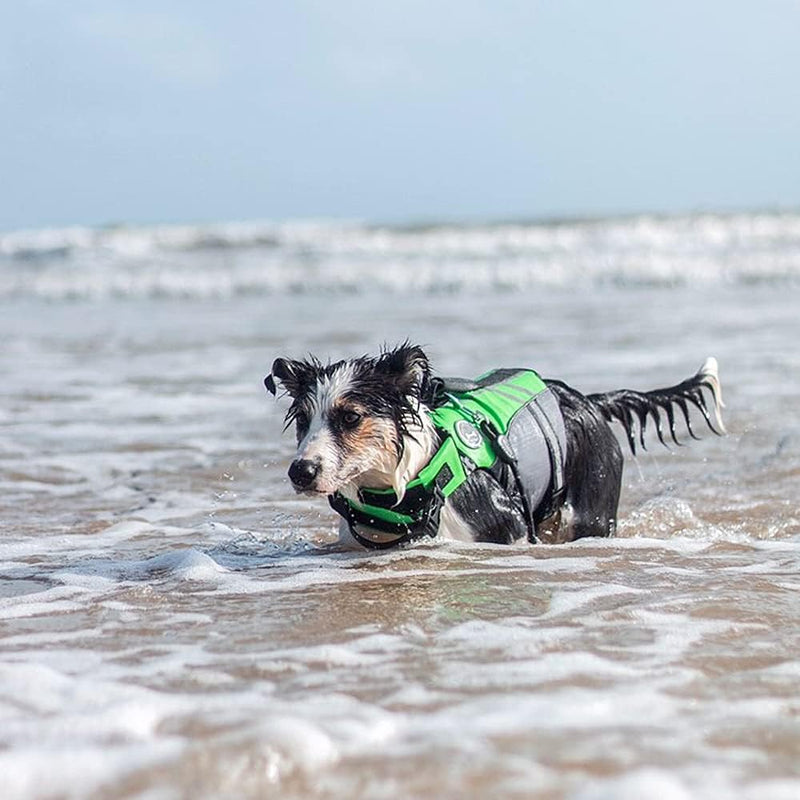 VIVAGLORY Sportstil Schwimmweste für Hunde mit Hervorragendem Auftrieb, Einstellbar & Langlebig Schw