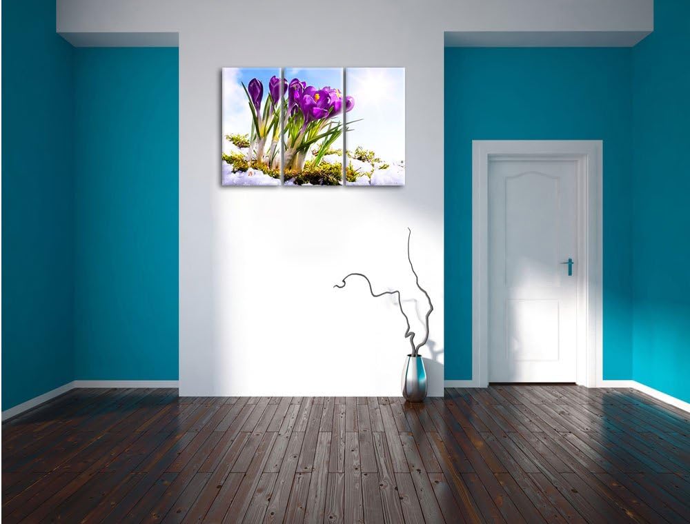 Pixxprint Kunst Frühling Flower Hintergrund / 3-Teilig/Gesamtmass 120cm Leinwandbild bespannt auf Ho