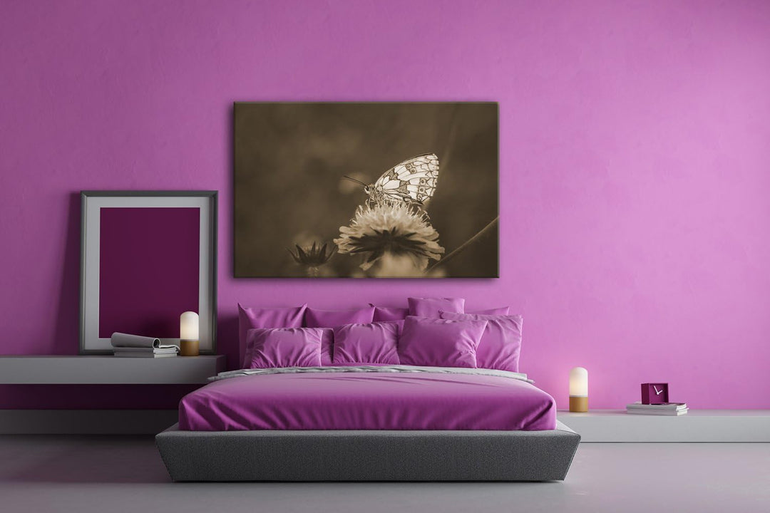 deyoli ruhiger Schmetterling Format: 80x60 Effekt: Sepia als Leinwandbild, Motiv fertig gerahmt auf