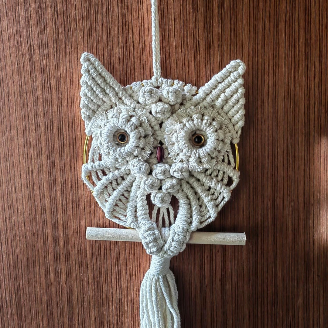 YSGLIFE Eule Makramee Wandbehang Tapisserie Wanddekoration Handgefertigt Gewebtes Boho Ornament Wand