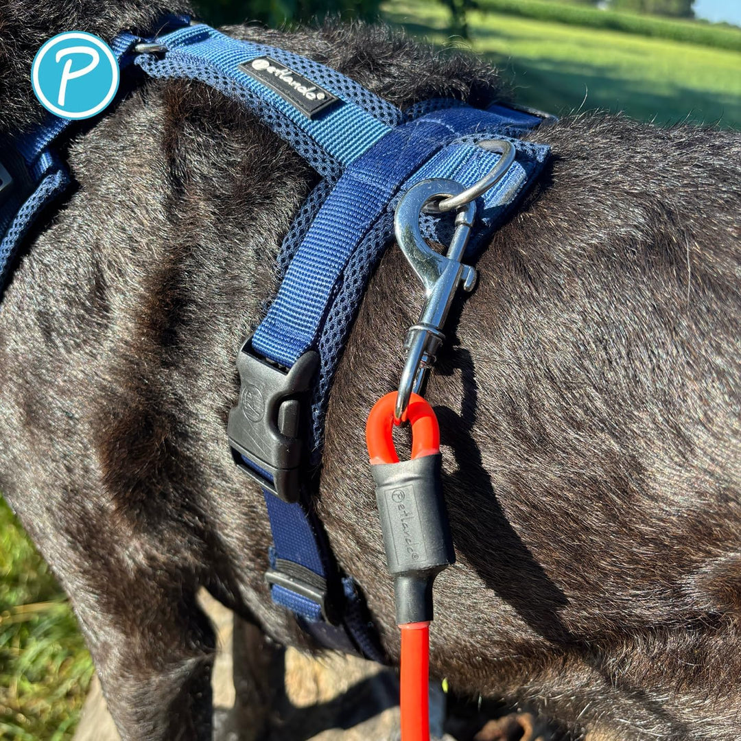 Petlando Hundeleine Trekking Rund 5 m Orange, extrem robust & Abriebfest, pflegeleicht & schnelltroc