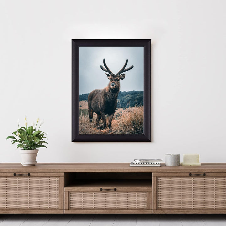 Rahmendesign24 Posterrahmen Fiona 50x70 Schwarz (matt) Fotorahmen, Wechselrahmen, Bilderrahmen, 50x7