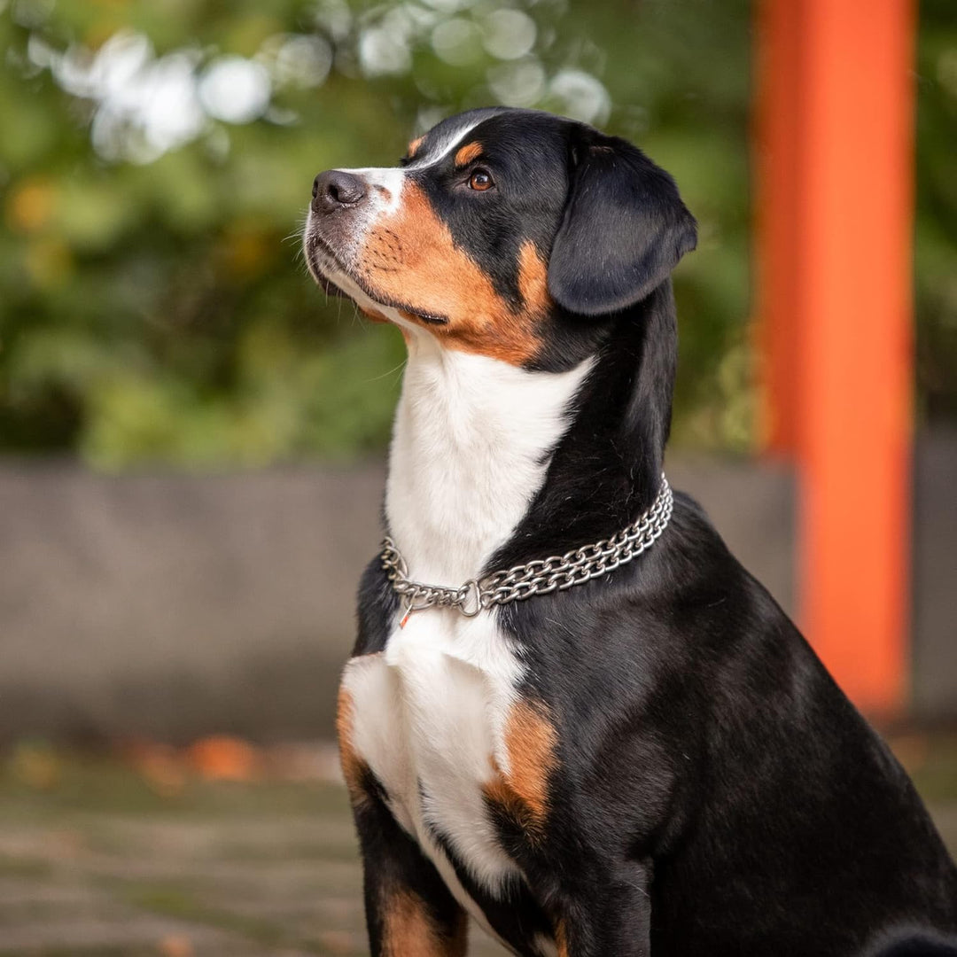 Sprenger Hundehalskette aus rostfreiem Edelstahl, 2-reihig matt l Hundehalskette 3,0mm mit Durchzugs