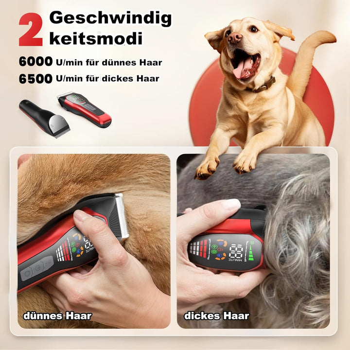 Hundeschermaschine mit Typ-C-Ladung, Profi Schermaschine Hund Katze, 2-Gang Elektrische Tierhaarschn
