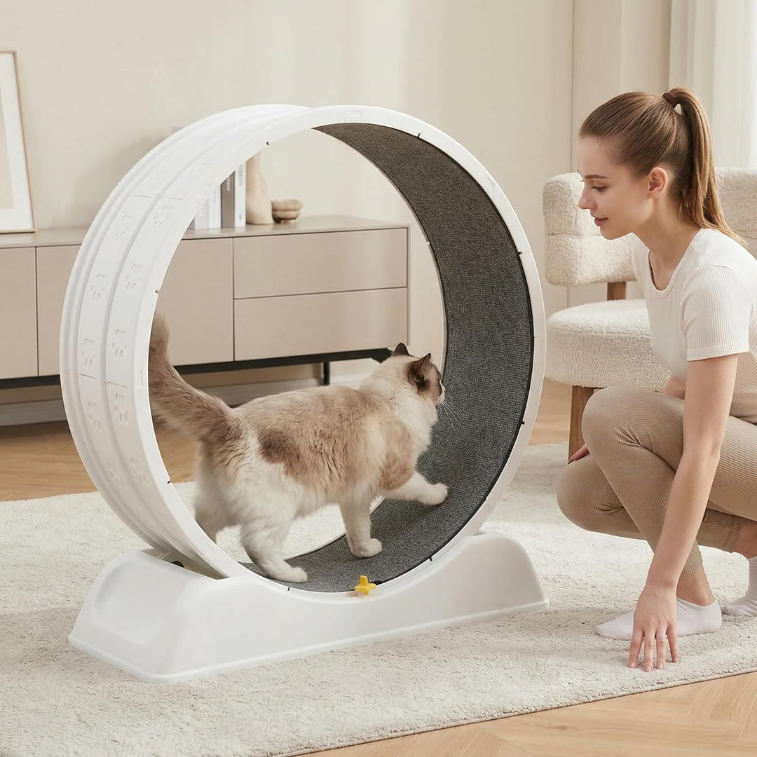 80 * 80cm Zoll Katzenräder für Indoor-Katzen, Plastik Katze Übung Laufband Rad mit Teppich Startbahn