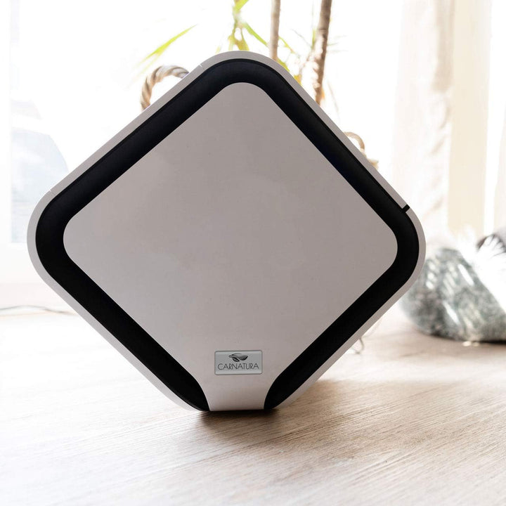 CARNATURA PURE Raumluftreiniger Plus – energieeffizienter 4-in-1 Luftreiniger mit Ionisierung, e2f-F