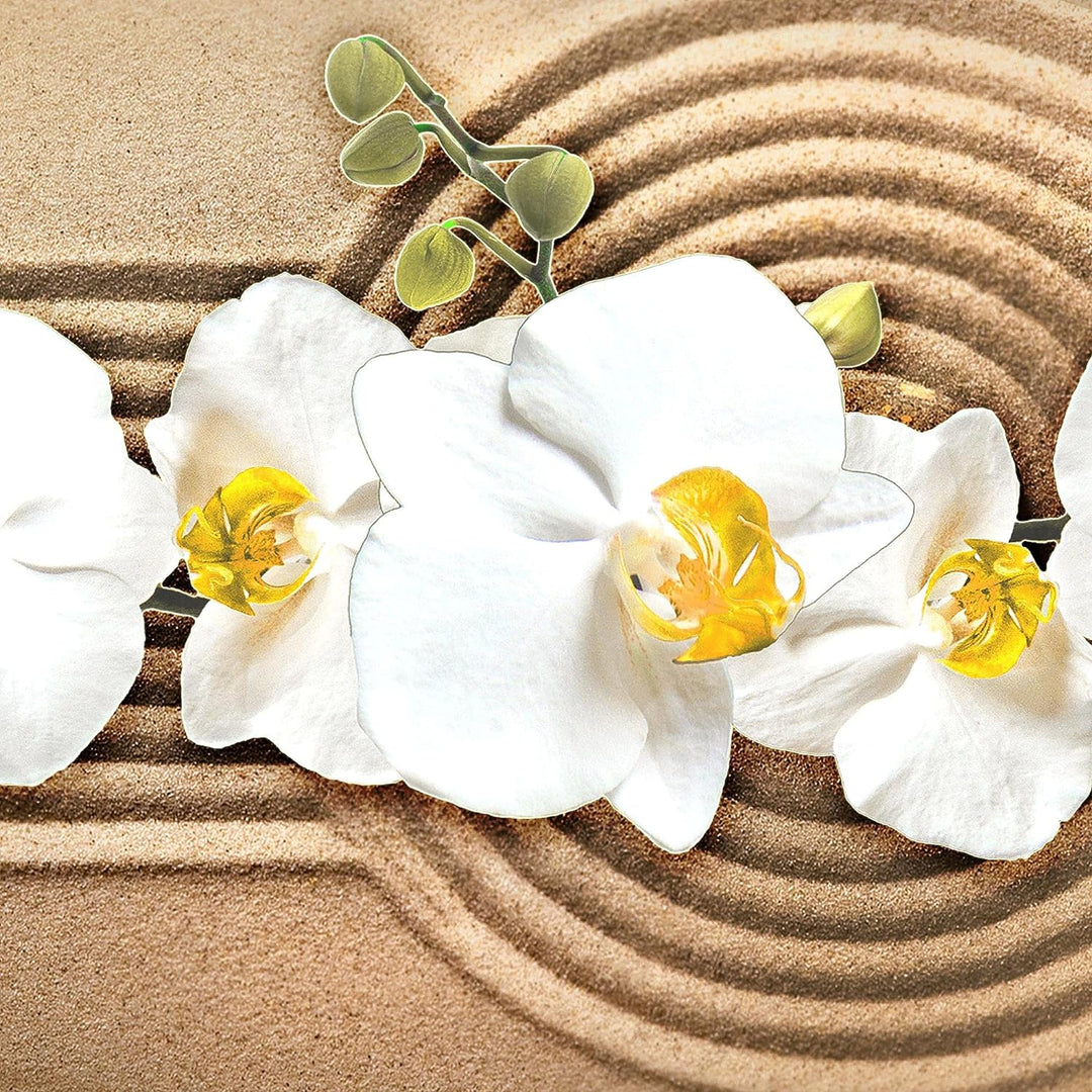 Runa Art Wandbilder Blumen Orchidee 5 Teilig Bild auf Vlies Leinwand Deko Wohnzimmer Sand Beige Brau