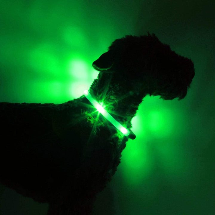 LEUCHTIE® Easy Charge Leuchthalsband Hund aufladbar, wasserdichtes LED Halsband, Leuchtband für Hund