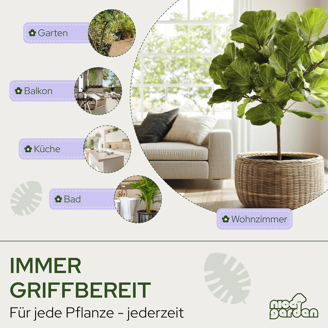 Edelstahl Giesskanne 1L | Design Blumengiesskanne mit Holzgriff | extra stabil & stilvoll | perfekt