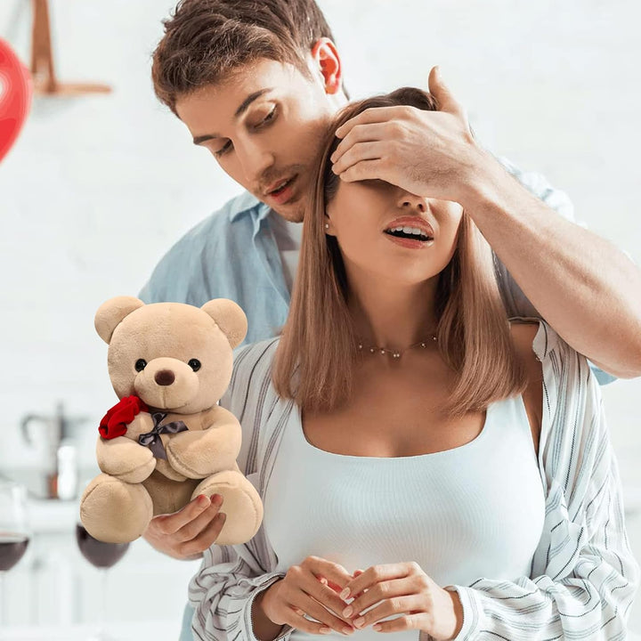 Bocguy Teddybär Plüsch, 23cm Teddybär mit Rose, Stofftier Spielzeug Dekozimmer Kissen für Weihnachte