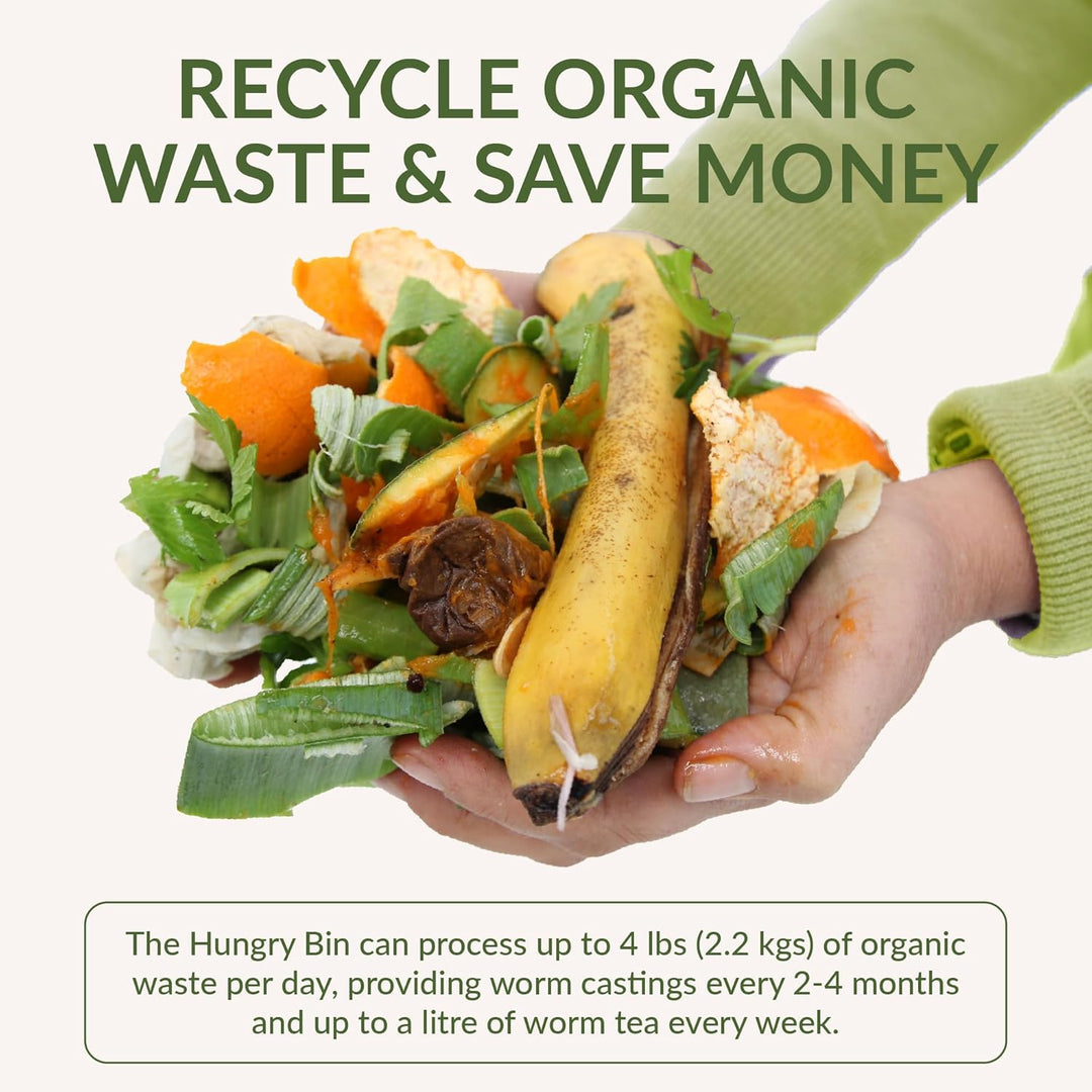 Hungry Bin Wurmkomposter für reichhaltige Vermicompost