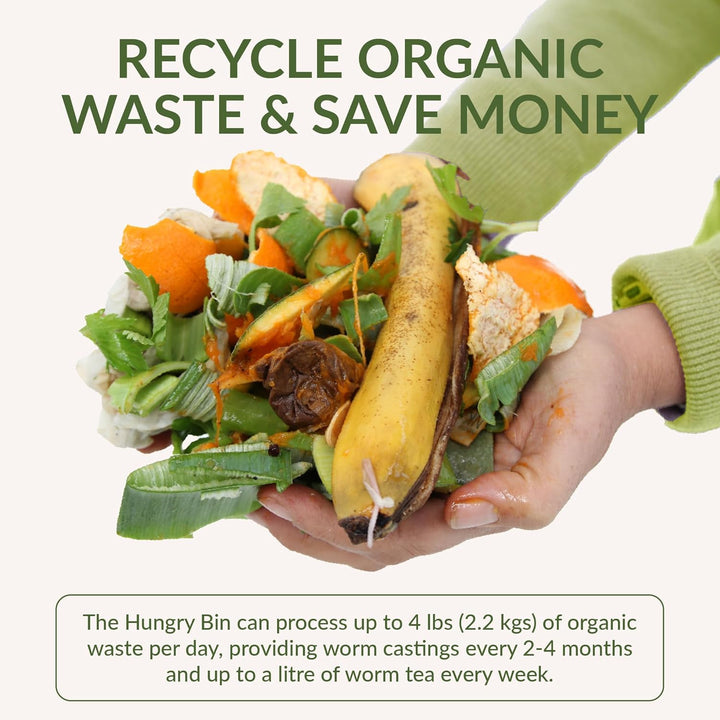 Hungry Bin Wurmkomposter für reichhaltige Vermicompost