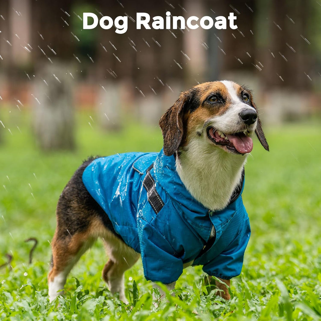 JoyDaog Regenmantel für kleine Hunde mit Kapuze, wasserdichte Outdoor-Regenjacke für Hunde, Welpen-R