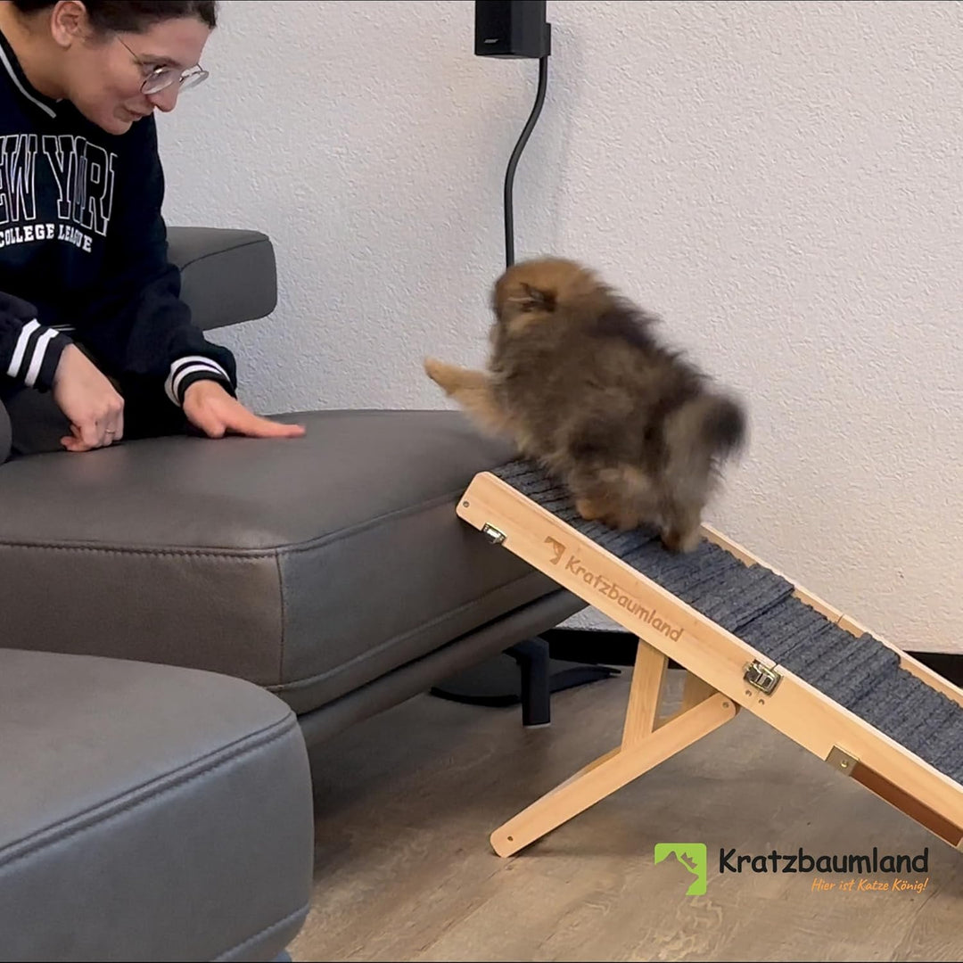Kratzbaumland Hunde- und Katzenrampe faltbar und höhenverstellbar für Hunde und Katzen Hundetreppe K
