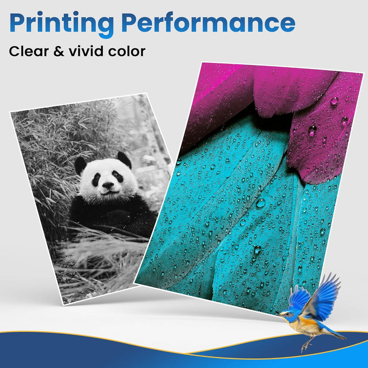 Jhaan CLT-P406C CLT-K406S Multipack Toner Kompatibel für Samsung CLX 3305 Toner Schwarz Samsung CLP