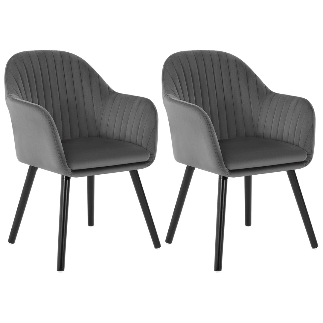 WOLTU Esszimmerstühle 2er Set, für Schlafzimmer Küche Wohnzimmer, Küchenstühle gepolstert mit Armleh
