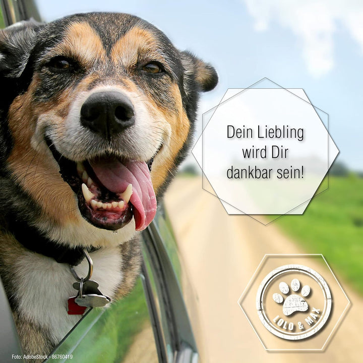 Lolo & Max DentaClean Spray Classic – Zahnreinigungsspray Für Tiere - Zahnpflege und Dentalspray Für