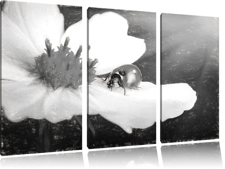Pixxprint Marienkäfer auf Einer Blume / 3-Teilig/Gesamtmass 120cm Leinwandbild bespannt auf Holzrahm