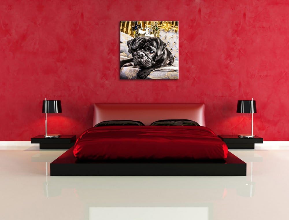 Süsser Mops auf dem Thron, Format: 70x70 auf Leinwand, XXL riesige Bilder fertig gerahmt mit Keilrah