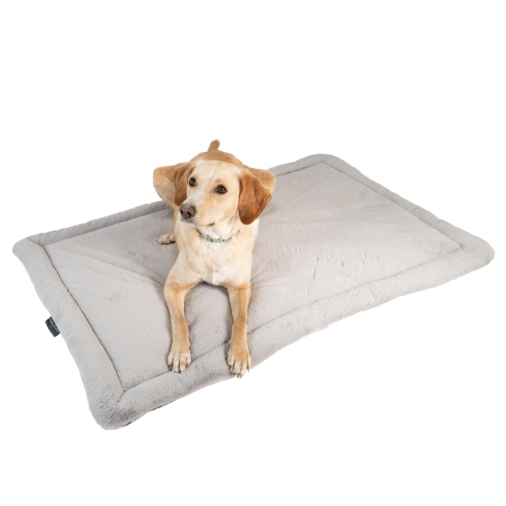 MyBestBuddy Hundekissen Komfort grau 120x80 cm XXL, allergikerfreundlich (100% Polyester), rutschfes