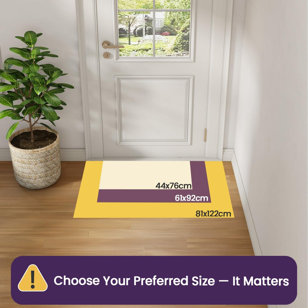 DEXI Schmutzfangmatte Innen 61 x 92 cm, rutschfest Fussmatte waschbar, absorbierend Fussmatte, Dünne