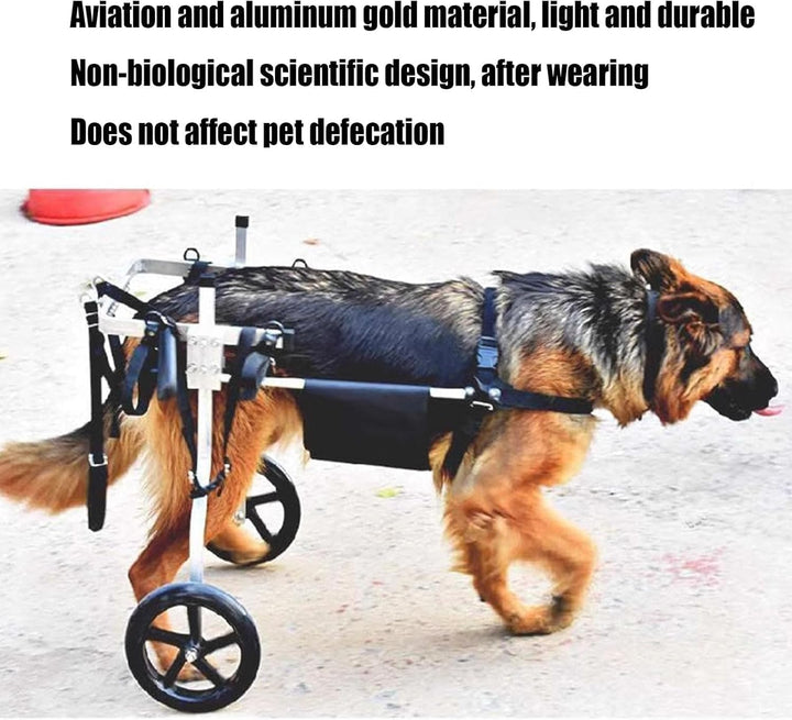 Mittlerer und grosser Hunderollstuhl, Rehabilitationshilfe, Hinterbeinstütze, Hundewagen mit Rädern,