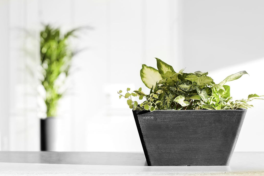 Ecopots Blumentopf Berlin Dunkel Grau - 31 x 31 cm quadratisch - Pflanzentopf aus Recycling Kunststo