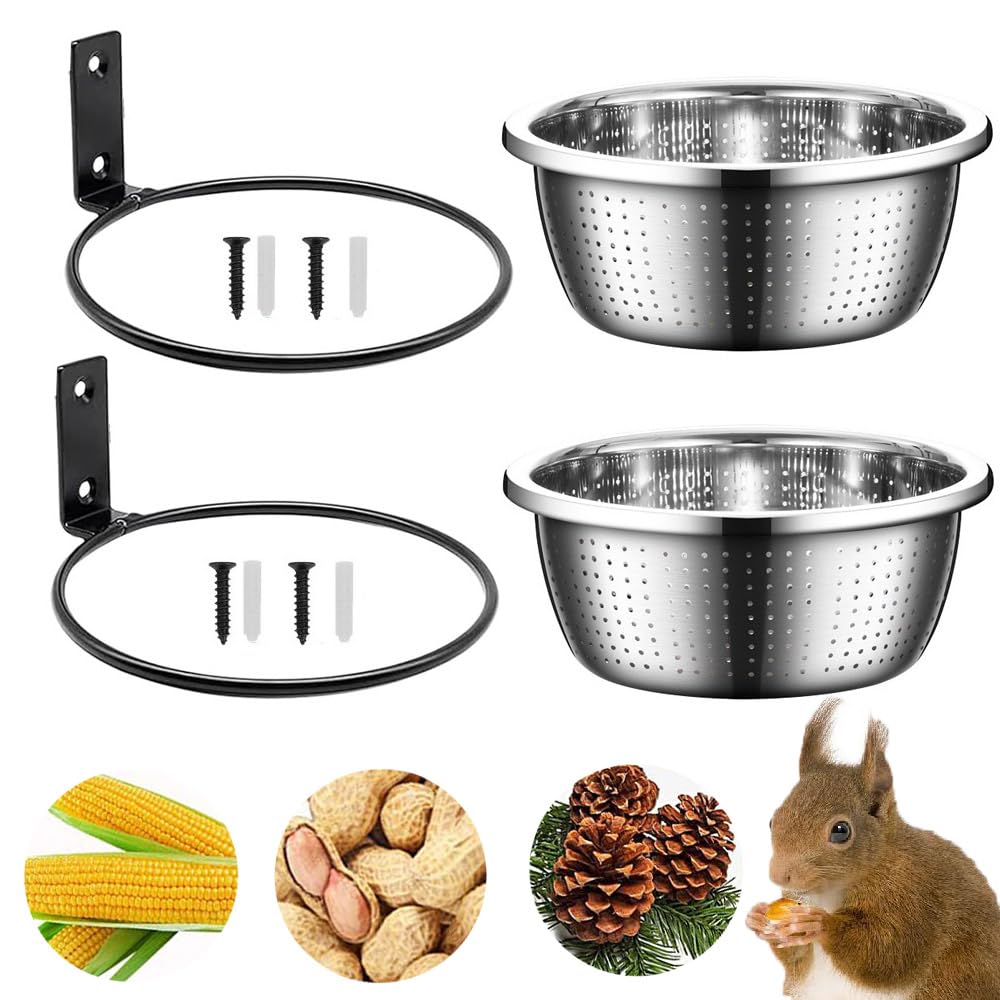Esforzarse 2 Stück 22cm Edelstahl Eichhörnchen Futterhaus mit 8-Zoll-Entnehmbare Metallfutter-Schale
