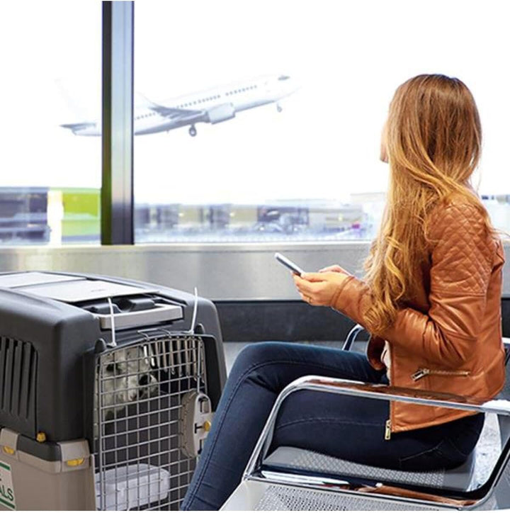Transportbox GULLIVER 6 IATA 92 x 64 x 66 cm L 92 x B 64 x H 66 cm, L 92 x B 64 x H 66 cm