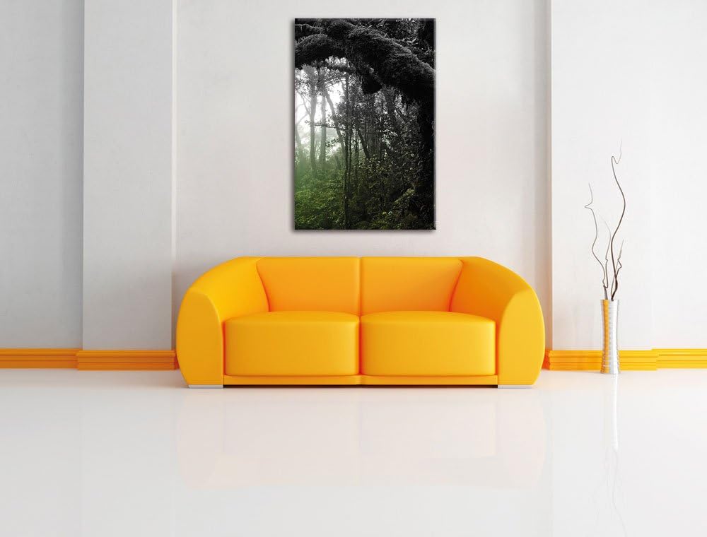 Pixxprint Regenwald in Seiner ganzen Pracht, Format: 70x100 auf hochkantiges Leinwand, XXL riesige B