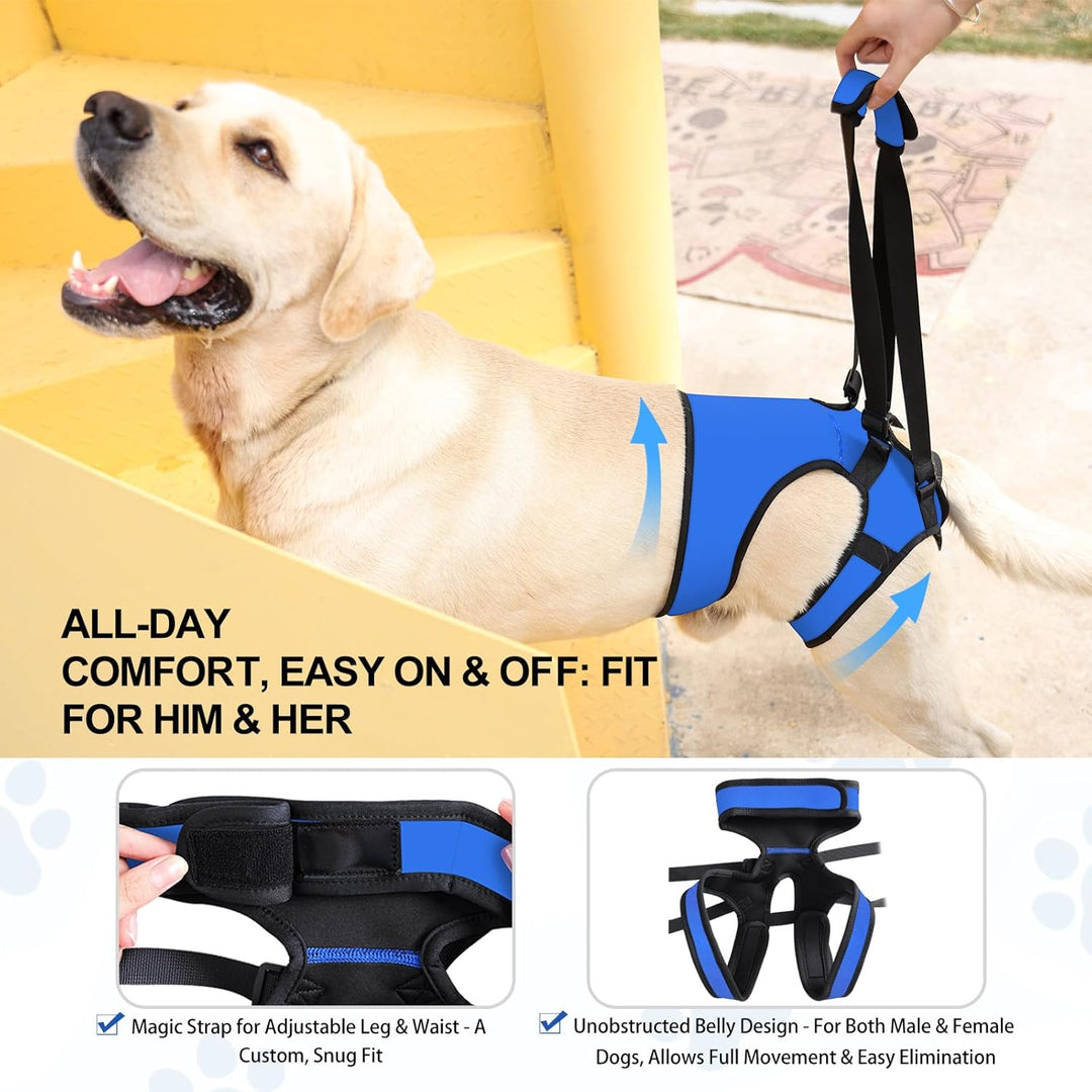 Dotoner Tragehilfe Hund, Anpassbare Tragehilfe für Alle Hundegrössen, Stabiler Beinsupport & Treppen