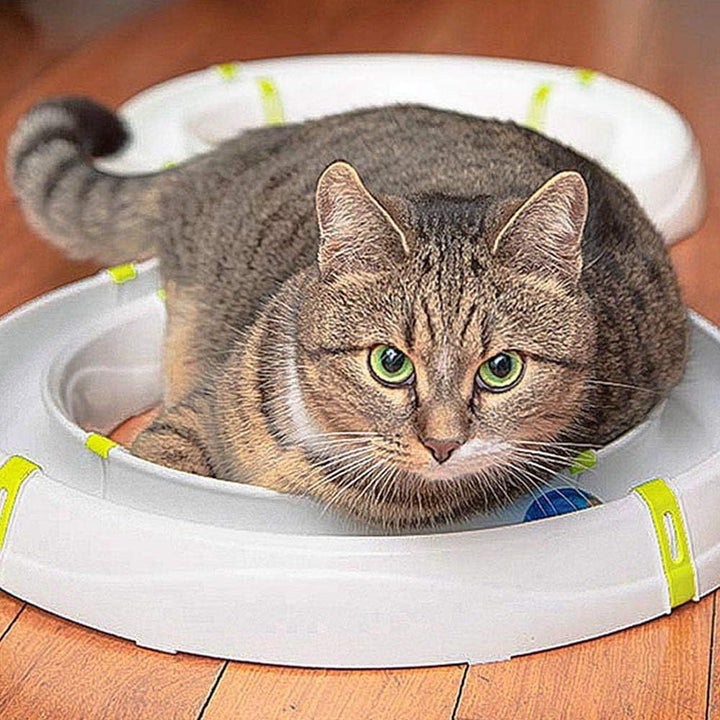 Ferplast Interaktives Spiel für Katzen TYPHON Katzenspielzeug, Modular Circuit, LED Luminous Ball en